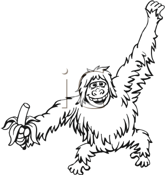 Primate Clipart