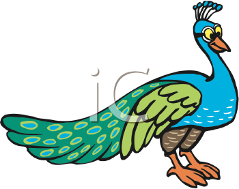 Bird Clipart