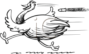 Bird Clipart