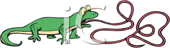 Reptile Clipart