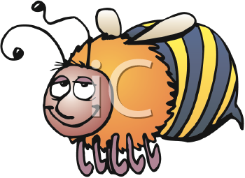 Insect Clipart