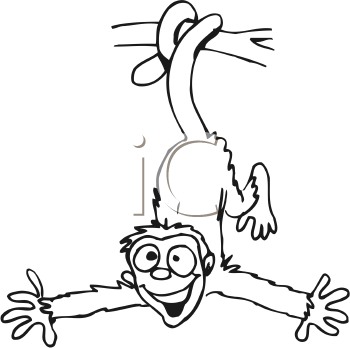 Primate Clipart