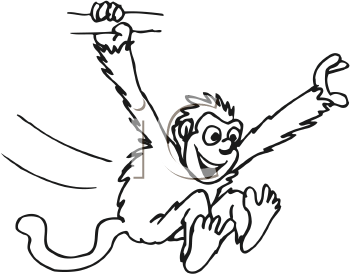 Primate Clipart