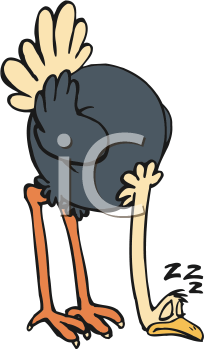 Bird Clipart