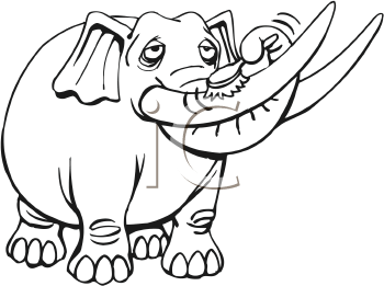 Mammal Clipart