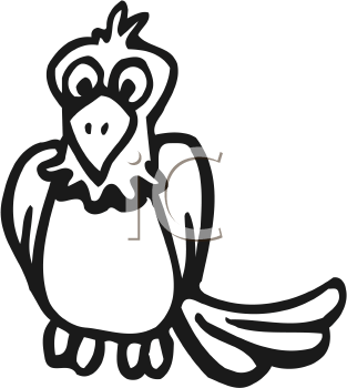 Bird Clipart