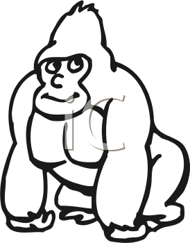 Primate Clipart