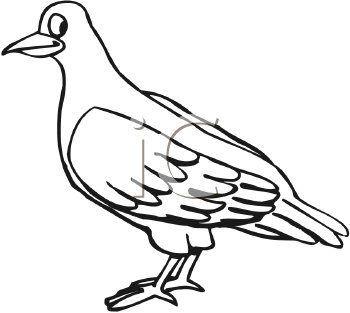 Bird Clipart