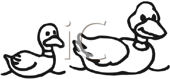 Bird Clipart