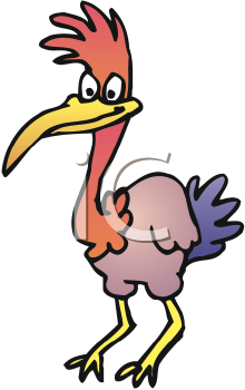 Bird Clipart