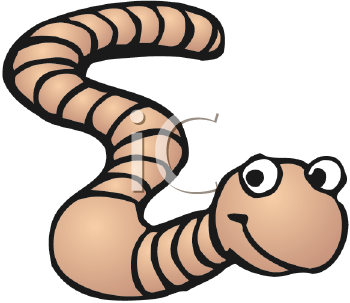 Insect Clipart