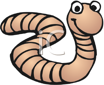 Insect Clipart