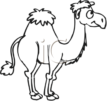 Camel Clipart