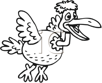 Bird Clipart