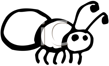 Insect Clipart