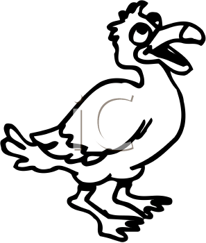 Bird Clipart