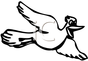 Bird Clipart