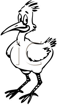 Bird Clipart