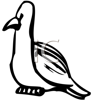 Bird Clipart