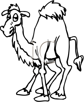 Camel Clipart