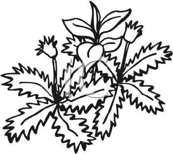 Flower Clipart