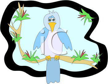 Bird Clipart