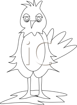 Bird Clipart