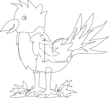 Bird Clipart