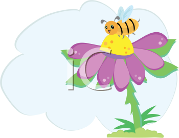 Insect Clipart