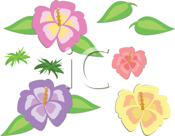 Flower Clipart