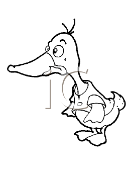 Bird Clipart