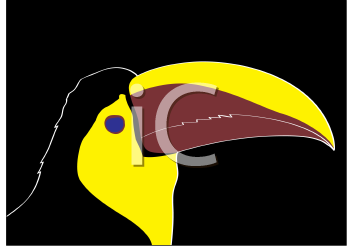 Bird Clipart