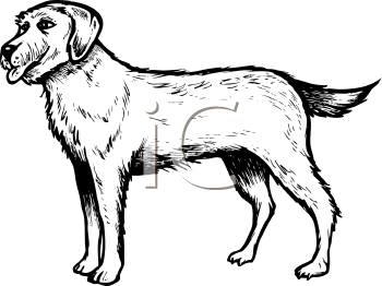 Dog Clipart