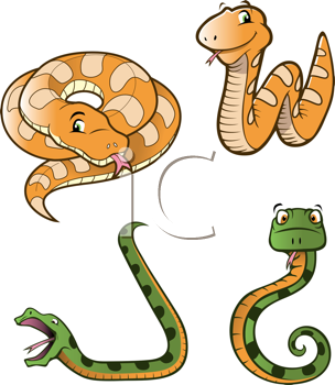 Reptile Clipart