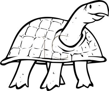 Reptile Clipart