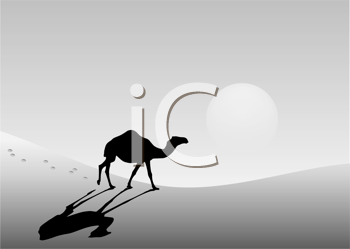 Camel Clipart