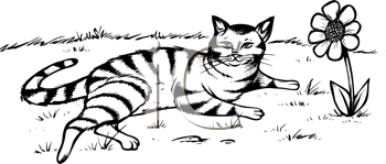 Pet Clipart