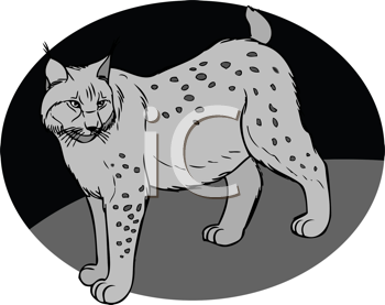 Pet Clipart