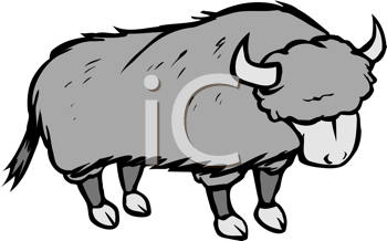 Buffalo Clipart