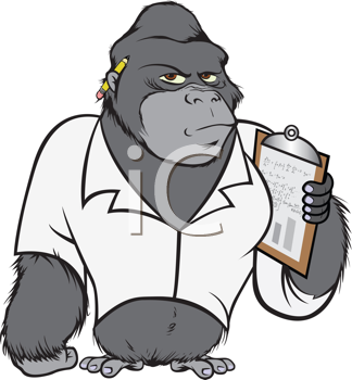 Primate Clipart