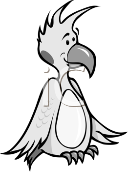 Bird Clipart