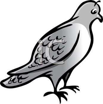 Bird Clipart