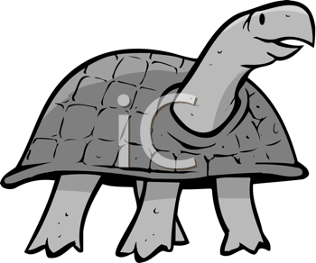 Reptile Clipart