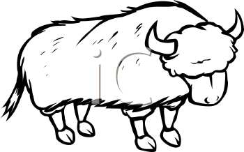 Buffalo Clipart