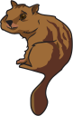 Rodent Clipart