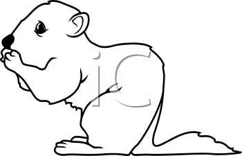 Rodent Clipart