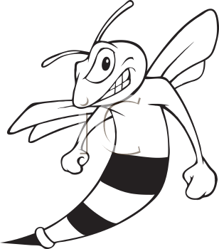 Insect Clipart