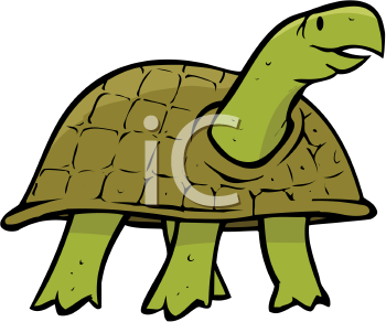 Reptile Clipart