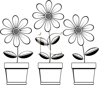 Flower Clipart