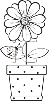 Flower Clipart